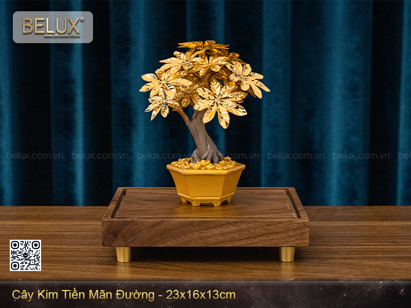 Cây kim tiền mãn đường dat vàng